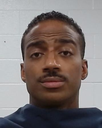 White, Joshua arrest record in Collin County, Texas White, Joshua arrested in Collin County, Texas mugshot