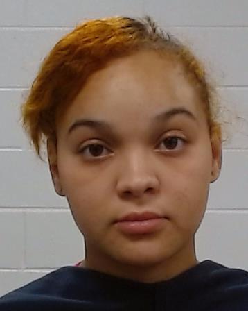 Williams, Tiara Leechelle arrest record in Collin County, Texas Williams, Tiara Leechelle arrested in Collin County, Texas mugshot