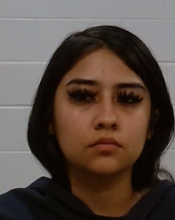 TORRES LEAL, JATHZARY ANN arrest record in Collin County, Texas TORRES LEAL, JATHZARY ANN arrested in Collin County, Texas mugshot
