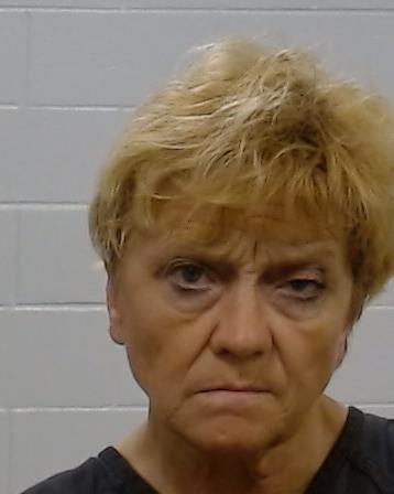 Siem, Lori Ann arrest record in Collin County, Texas Siem, Lori Ann arrested in Collin County, Texas mugshot