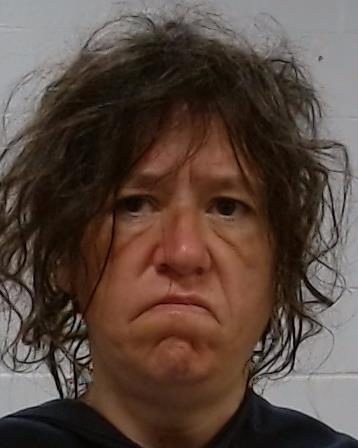ROSS, MISTY MARIE arrest record in Collin County, Texas ROSS, MISTY MARIE arrested in Collin County, Texas mugshot