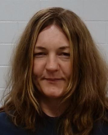 Davis, Tina Charlene arrest record in Collin County, Texas Davis, Tina Charlene arrested in Collin County, Texas mugshot