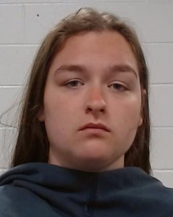 Elliston, Avery Grace arrest record in Collin County, Texas Elliston, Avery Grace arrested in Collin County, Texas mugshot