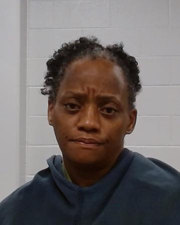 Nelson, Raquel arrest record in Collin County, Texas Nelson, Raquel arrested in Collin County, Texas mugshot