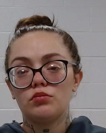 Heifner, Noelle Lenice arrest record in Collin County, Texas Heifner, Noelle Lenice arrested in Collin County, Texas mugshot