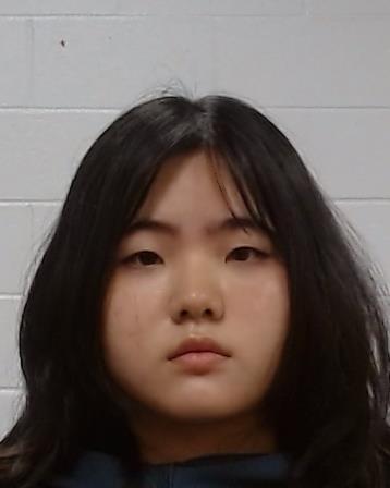 HONG, HAEIN arrest record in Collin County, Texas HONG, HAEIN arrested in Collin County, Texas mugshot