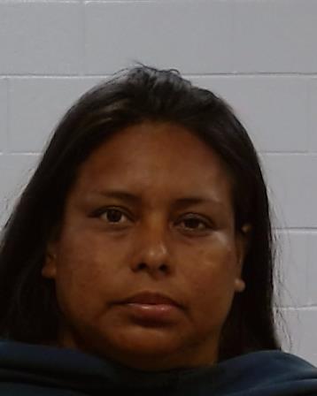 Ramos, Araceli arrest record in Collin County, Texas Ramos, Araceli arrested in Collin County, Texas mugshot