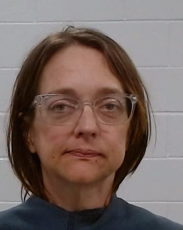 Tennison, Amy Dawn arrest record in Collin County, Texas Tennison, Amy Dawn arrested in Collin County, Texas mugshot