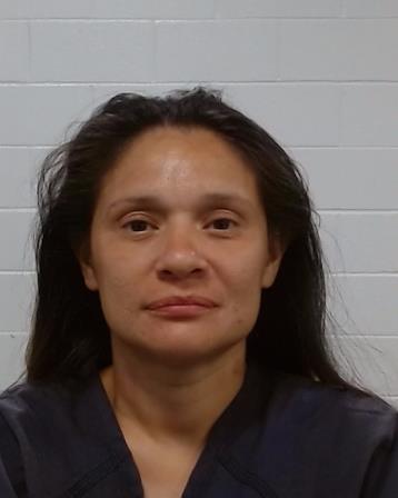 Cruz Ramirez, Monica arrest record in Collin County, Texas Cruz Ramirez, Monica arrested in Collin County, Texas mugshot