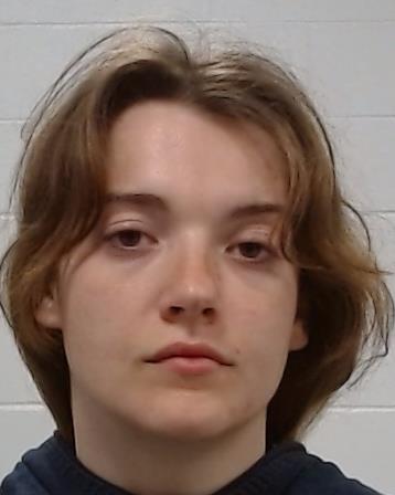 Lemieux, Claire Joanne arrest record in Collin County, Texas Lemieux, Claire Joanne arrested in Collin County, Texas mugshot