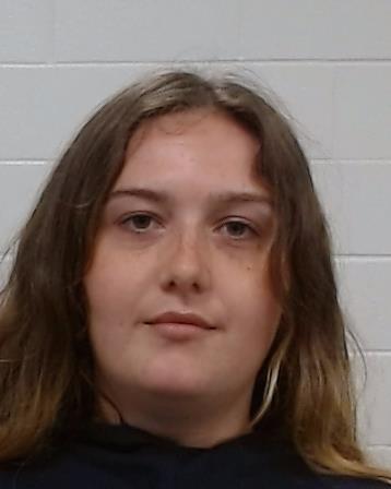 Collins, Megan Nicole arrest record in Collin County, Texas Collins, Megan Nicole arrested in Collin County, Texas mugshot