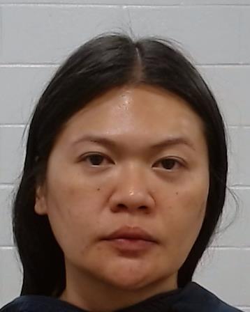 Martin, Sarinya arrest record in Collin County, Texas Martin, Sarinya arrested in Collin County, Texas mugshot