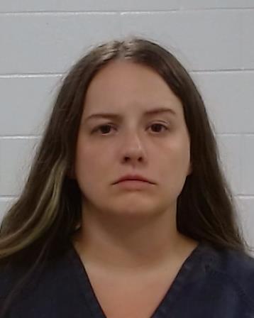 Sparks, Taylor Nicole arrest record in Collin County, Texas Sparks, Taylor Nicole arrested in Collin County, Texas mugshot