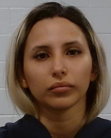 Montiel Romero, Sara Patricia arrest record in Collin County, Texas Montiel Romero, Sara Patricia arrested in Collin County, Texas mugshot