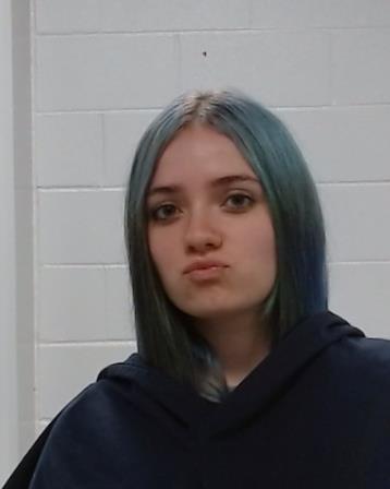 Rodriguez, Michelle Emily arrest record in Collin County, Texas Rodriguez, Michelle Emily arrested in Collin County, Texas mugshot