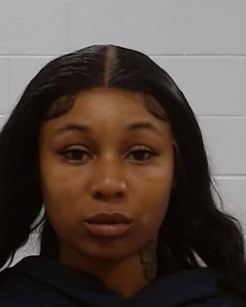 Johnson, Ashley Renee arrest record in Collin County, Texas Johnson, Ashley Renee arrested in Collin County, Texas mugshot
