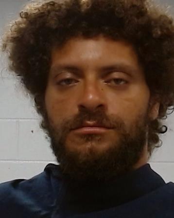Hopson, Taylor Shane arrest record in Collin County, Texas Hopson, Taylor Shane arrested in Collin County, Texas mugshot