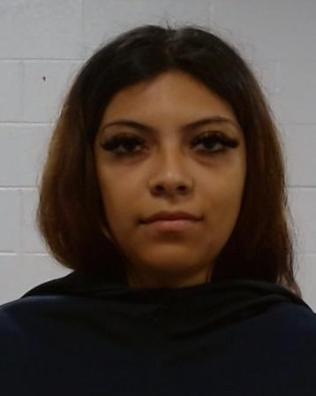 Perez, America arrest record in Collin County, Texas Perez, America arrested in Collin County, Texas mugshot