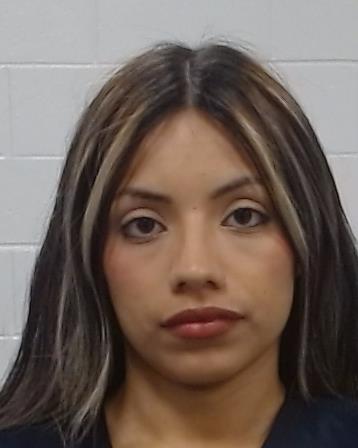 Rosas, Angelyn arrest record in Collin County, Texas Rosas, Angelyn arrested in Collin County, Texas mugshot