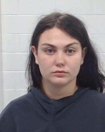 Brannan, Caroline Sue arrest record in Collin County, Texas Brannan, Caroline Sue arrested in Collin County, Texas mugshot