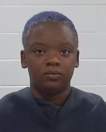 Banks, Artejah Marshon arrest record in Collin County, Texas Banks, Artejah Marshon arrested in Collin County, Texas mugshot