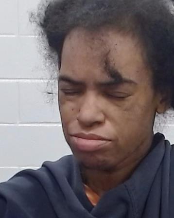 Prince-Goss, Sharon Renay arrest record in Collin County, Texas Prince-Goss, Sharon Renay arrested in Collin County, Texas mugshot