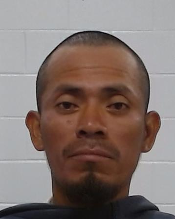 Choc Ical, Daniel arrest record in Collin County, Texas Choc Ical, Daniel arrested in Collin County, Texas mugshot