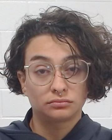 Estrada, Gabriela Marie arrest record in Collin County, Texas Estrada, Gabriela Marie arrested in Collin County, Texas mugshot