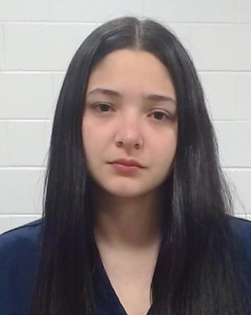 Lachmann Rincon, Stephannie M arrest record in Collin County, Texas Lachmann Rincon, Stephannie M arrested in Collin County, Texas mugshot