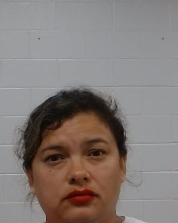 Flores, Mary Lues arrest record in Collin County, Texas Flores, Mary Lues arrested in Collin County, Texas mugshot