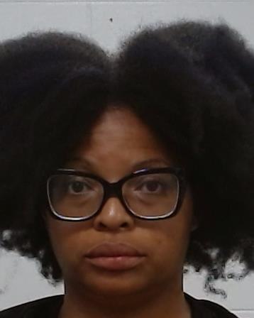 Jamison, Natasha Tylynn arrest record in Collin County, Texas Jamison, Natasha Tylynn arrested in Collin County, Texas mugshot