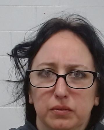 Contreras, Nicole Michelle arrest record in Collin County, Texas Contreras, Nicole Michelle arrested in Collin County, Texas mugshot
