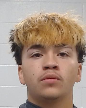 ALVES, RICARDO arrest record in Collin County, Texas ALVES, RICARDO arrested in Collin County, Texas mugshot