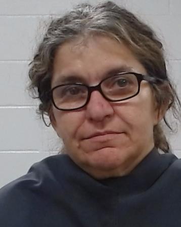 Lee, Sandra Louise arrest record in Collin County, Texas Lee, Sandra Louise arrested in Collin County, Texas mugshot