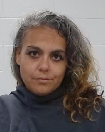 MEZA, NICHOLE A arrest record in Collin County, Texas MEZA, NICHOLE A arrested in Collin County, Texas mugshot