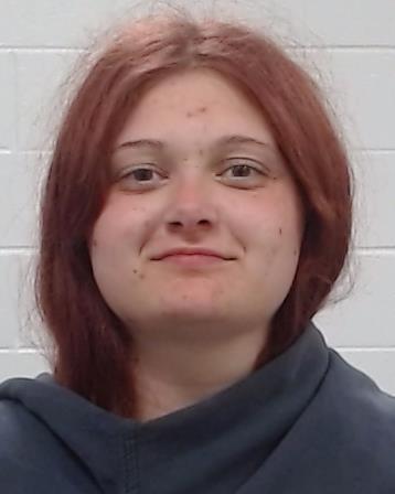Denison, Emma Danielle arrest record in Collin County, Texas Denison, Emma Danielle arrested in Collin County, Texas mugshot