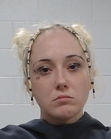 Marissa, Tippins arrest record in Collin County, Texas Marissa, Tippins arrested in Collin County, Texas mugshot