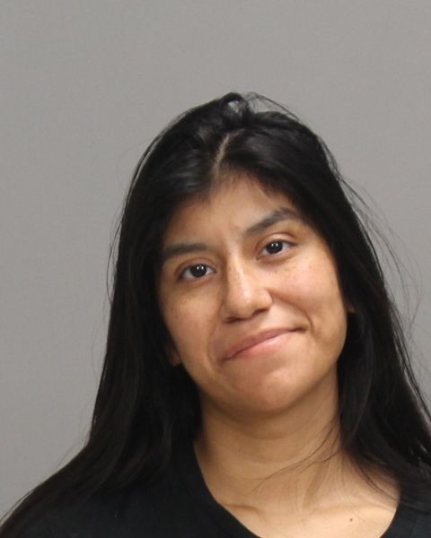 Herrera, Reagan Elizabeth arrest record in Brazos County, Texas Herrera, Reagan Elizabeth arrested in Brazos County, Texas mugshot