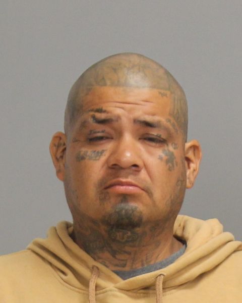 DELUNA, JESUS DANIEL arrest record in Brazos County, Texas DELUNA, JESUS DANIEL arrested in Brazos County, Texas mugshot