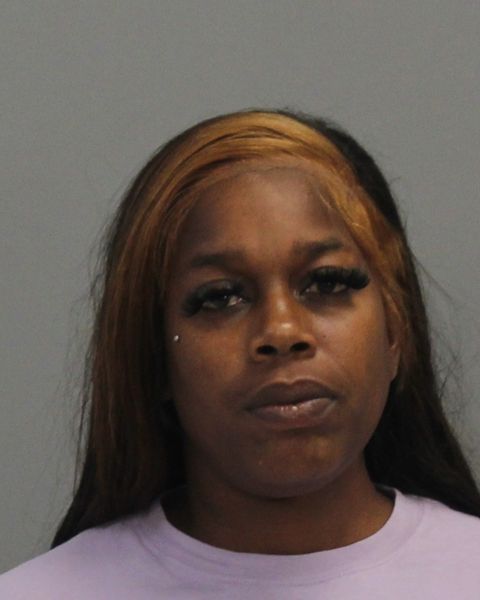 BUSH, TAMASHA ROCHA-ANN arrest record in Brazos County, Texas BUSH, TAMASHA ROCHA-ANN arrested in Brazos County, Texas mugshot