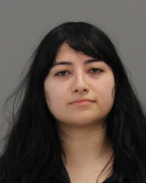 SILVA, EDITH arrest record in Brazos County, Texas SILVA, EDITH arrested in Brazos County, Texas mugshot