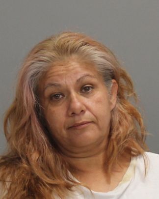 MEZA, LORI ANN arrest record in Brazos County, Texas MEZA, LORI ANN arrested in Brazos County, Texas mugshot