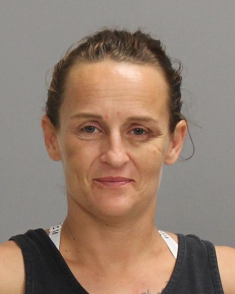 Stephens, Tamara Michele arrest record in Brazos County, Texas Stephens, Tamara Michele arrested in Brazos County, Texas mugshot