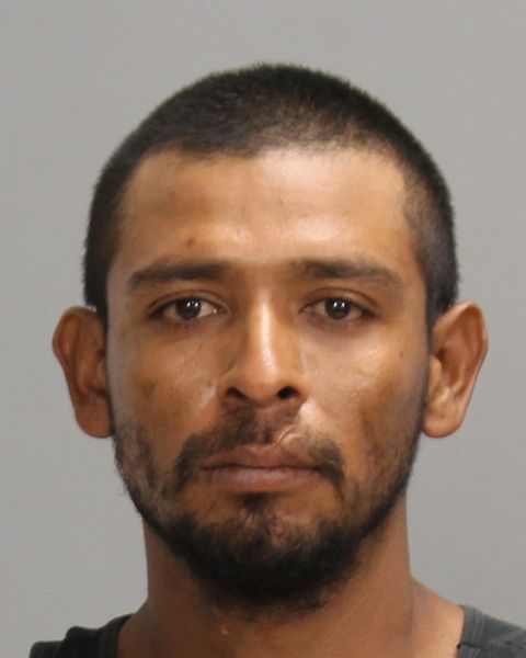 DUARTE SERRANO, ELDAR MISAEL arrest record in Brazos County, Texas DUARTE SERRANO, ELDAR MISAEL arrested in Brazos County, Texas mugshot