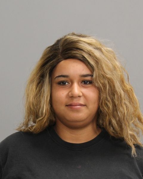 BURNS, KAILEY RAE arrest record in Brazos County, Texas BURNS, KAILEY RAE arrested in Brazos County, Texas mugshot