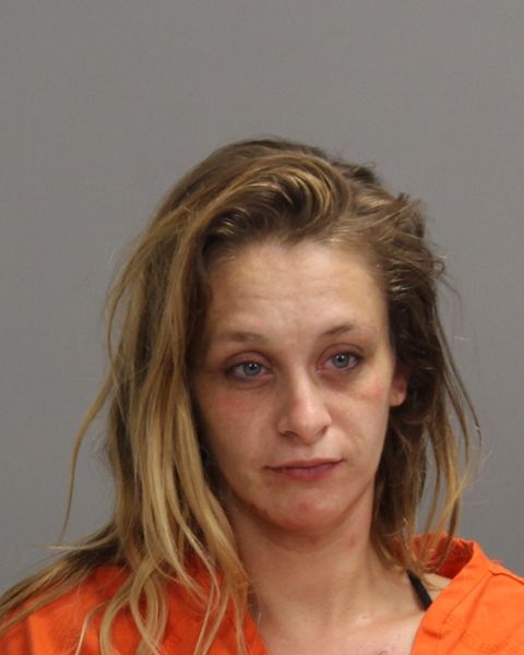 SNOW, CRISTINA NICOLE arrest record in Brazos County, Texas SNOW, CRISTINA NICOLE arrested in Brazos County, Texas mugshot