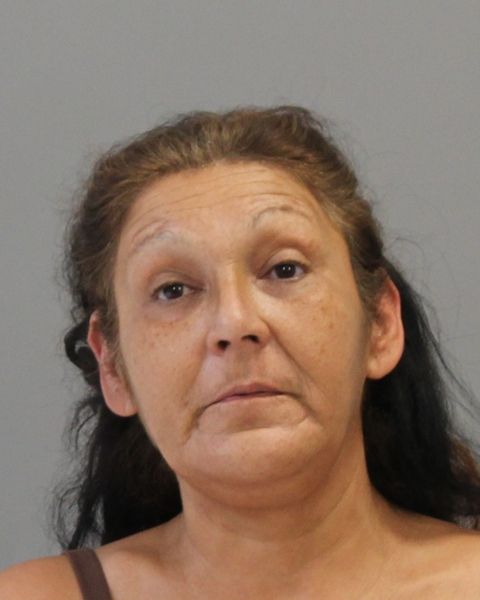 MARTINEZ, VIRGINIA arrest record in Brazos County, Texas MARTINEZ, VIRGINIA arrested in Brazos County, Texas mugshot