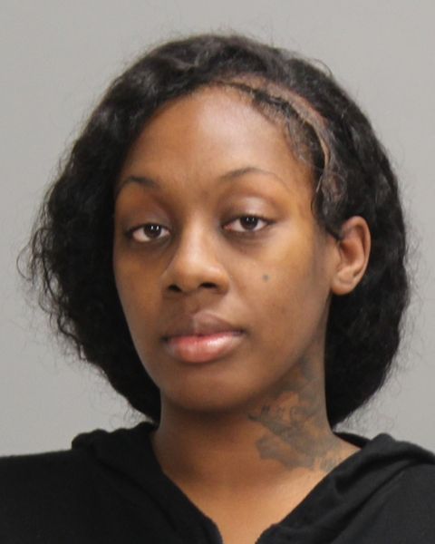 LENOR, TRENEICE BRENETTA arrest record in Brazos County, Texas LENOR, TRENEICE BRENETTA arrested in Brazos County, Texas mugshot
