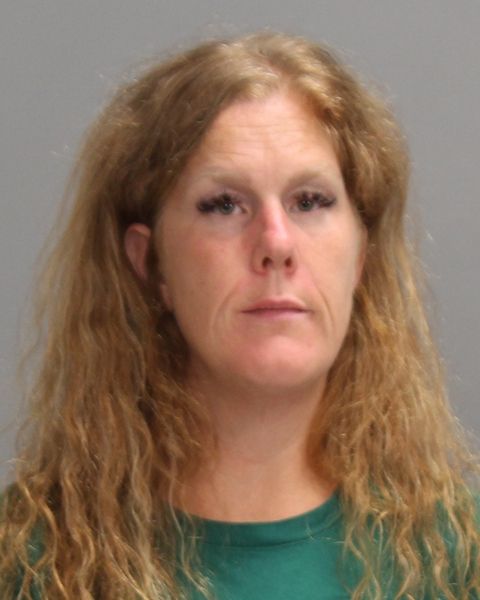 ROHDE, Jennifer LEA arrest record in Brazos County, Texas ROHDE, Jennifer LEA arrested in Brazos County, Texas mugshot