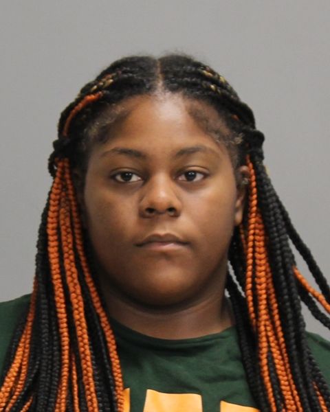 JOHNSON, BREYANA NESHAY arrest record in Brazos County, Texas JOHNSON, BREYANA NESHAY arrested in Brazos County, Texas mugshot